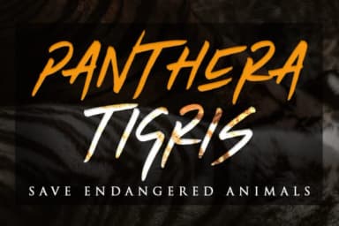 Tiger Walk Font by senoajifont — Script Handwritten Font — thumbnail 6