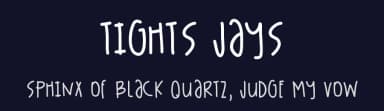Tights Jays by Des Gomez — Script Handwritten Font — thumbnail 2