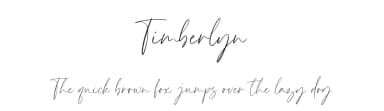 Timberlyn by Timur Type — Script Handwritten Font — thumbnail 1
