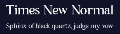 Times New Normal by Juwanda Azi Mayuswa — Serif Font — thumbnail 2