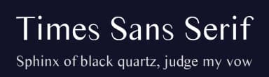 Times Sans Serif by royzera.com — Sans Serif Font — thumbnail 2