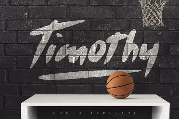 Timothy Font by SmartDesigns — Script Handwritten Font — preview 1