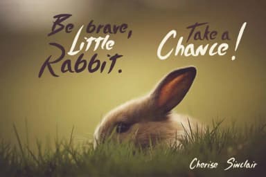 Timothy Font by SmartDesigns — Script Handwritten Font — thumbnail 4