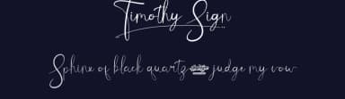 Timothy Sign by Noah Type — Script Handwritten Font — thumbnail 2