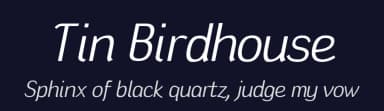 Tin Birdhouse by Darren Rigby — Sans Serif Font — thumbnail 2