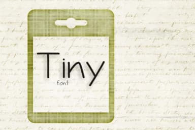 Tiny Script Font by Carolina Mejia — Script Handwritten Font — thumbnail 2