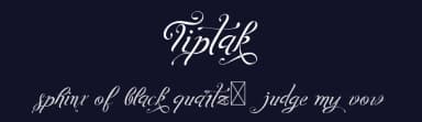 Tiptak by Digital Typeface Studio — Script Handwritten Font — thumbnail 2