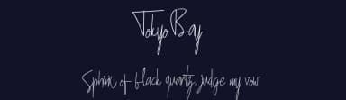 Tokyo Bay by DM Letter Studio - Dimas Prasetyo — Script Handwritten Font — thumbnail 2
