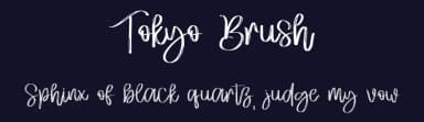 Tokyo Brush by Letterafa Studio — Script Handwritten Font — thumbnail 2