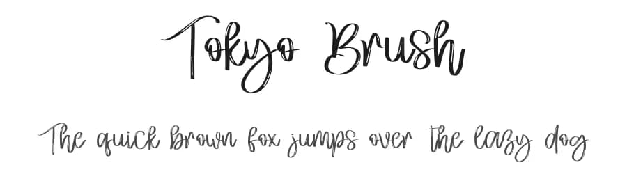 Tokyo Brush by Letterafa Studio — Script Handwritten Font