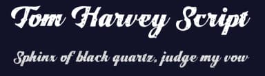 Tom Harvey Script by Arthy — Script Handwritten Font — thumbnail 2