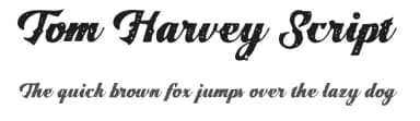 Tom Harvey Script by Arthy — Script Handwritten Font — thumbnail 1