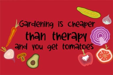 Tomatoes Font by Illustration Ink — Script Handwritten Font — thumbnail 4