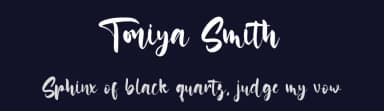 Toniya Smith by StringLabs Creative Studio — Script Handwritten Font — thumbnail 2