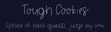 Tough Cookies by Chris Glover — Script Handwritten Font — thumbnail 2
