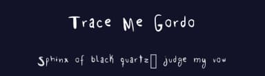 Trace Me Gordo by Insane Machina — Script Handwritten Font — thumbnail 2