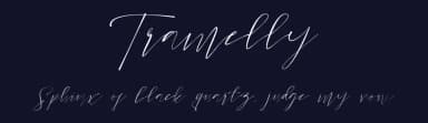 Tramelly by Jadatype — Script Handwritten Font — thumbnail 2