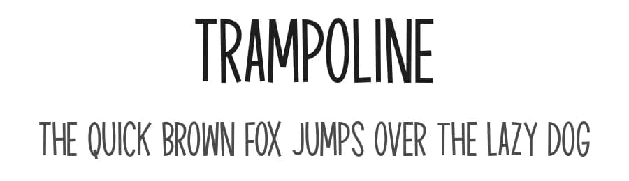 Trampoline by Alexa — Sans Serif Font