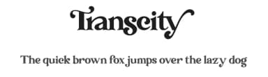 Transcity by Dharmas Foundry — Serif Font — thumbnail 1
