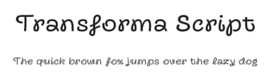 Transforma Script by Fontfabric — Script Handwritten Font — thumbnail 1