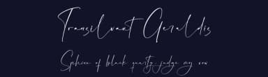 Transilvant Geraldis by Storytype Studio — Script Handwritten Font — thumbnail 2