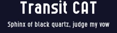 Transit CAT by Peter Wiegel — Sans Serif Font — thumbnail 2