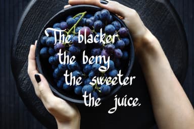 Trefay Font by Digital Typeface Studio — Script Handwritten Font — thumbnail 4