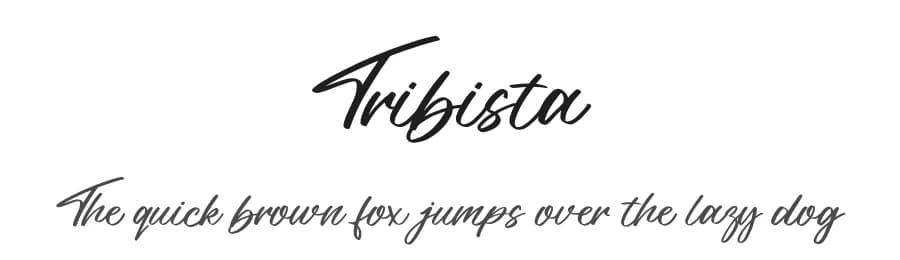 Tribista by Letterena Studios — Script Handwritten Font