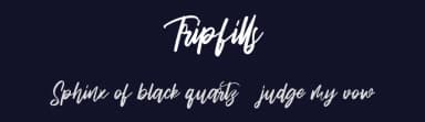 Tripfills by Maulana Creative — Script Handwritten Font — thumbnail 2