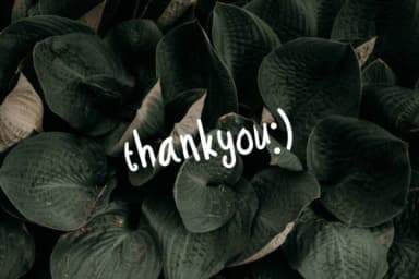 Troficanos Font by 24Design Studios — Script Handwritten Font — thumbnail 5