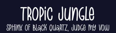 Tropic Jungle by DM Letter Studio - Dimas Prasetyo — Script Handwritten Font — thumbnail 2