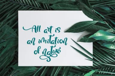 Tropical Font by Happy Letters — Script Handwritten Font — thumbnail 5