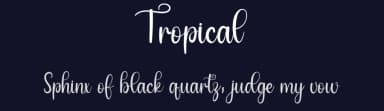 Tropical by PiPi Creative STUDIO — Script Handwritten Font — thumbnail 2