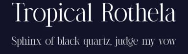 Tropical Rothela by Storytype Studio — Serif Font — thumbnail 2