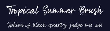 Tropical Summer Brush by Blue Studio09 — Script Handwritten Font — thumbnail 2