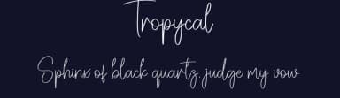 Tropycal by Scratchones — Script Handwritten Font — thumbnail 2
