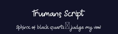 Trumans Script by Edric Studio — Script Handwritten Font — thumbnail 2