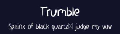 Trumble by Portype Studio — Script Handwritten Font — thumbnail 2