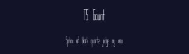 TS Gaunt by thesock338 — Sans Serif Font — thumbnail 2