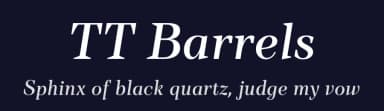TT Barrels by TypeType Foundry — Serif Font — thumbnail 2