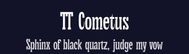 TT Cometus by TypeType Foundry — Serif Font — thumbnail 2