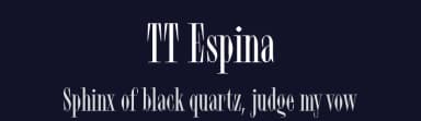 TT Espina by TypeType Foundry — Serif Font — thumbnail 2