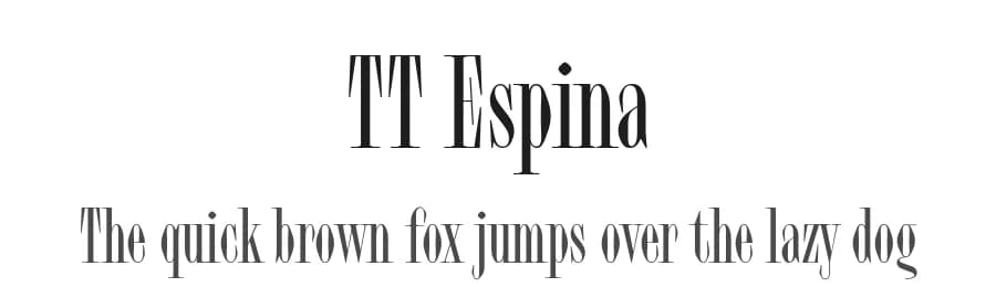 TT Espina by TypeType Foundry — Serif Font