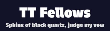 TT Fellows by TypeType Foundry — Sans Serif Font — thumbnail 2