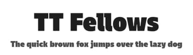 TT Fellows by TypeType Foundry — Sans Serif Font — thumbnail 1