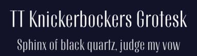 TT Knickerbockers Grotesk by TypeType Foundry — Sans Serif Font — thumbnail 2