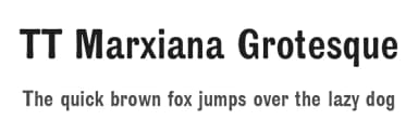 TT Marxiana Grotesque by TypeType Foundry — Sans Serif Font — thumbnail 1