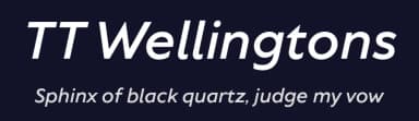 TT Wellingtons by TypeType Foundry — Sans Serif Font — thumbnail 2