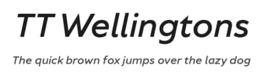 TT Wellingtons by TypeType Foundry — Sans Serif Font — thumbnail 1