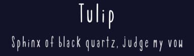 Tulip by Pokey Alma — Script Handwritten Font — thumbnail 2